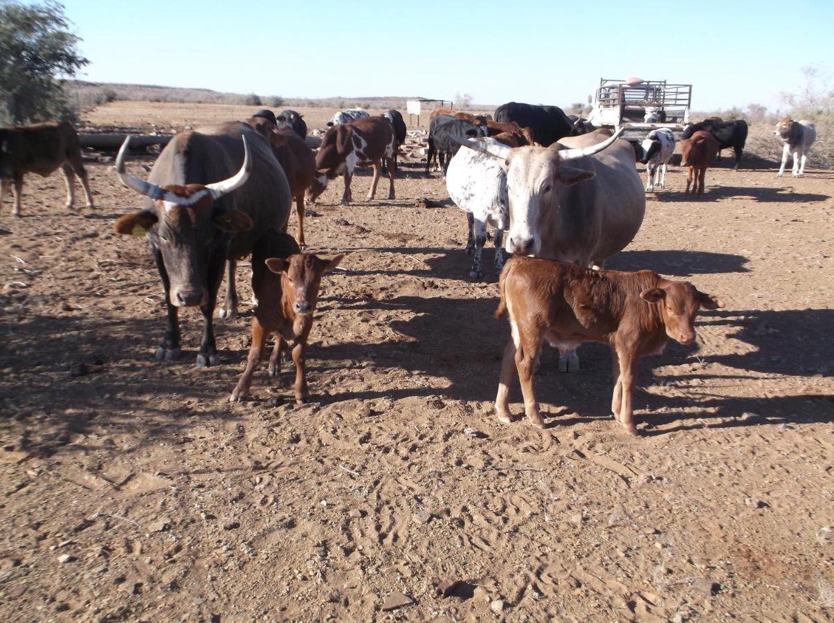 مبيت وإفطار مالتهوه Gamis Farm المظهر الخارجي الصورة